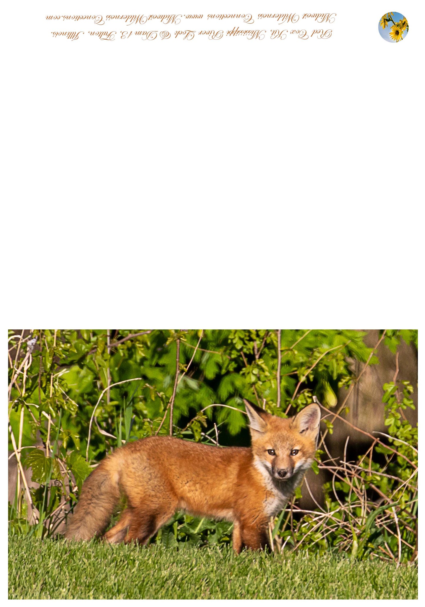 Mississippi River Lock & Dam 13 Greeting Card IMG_1963