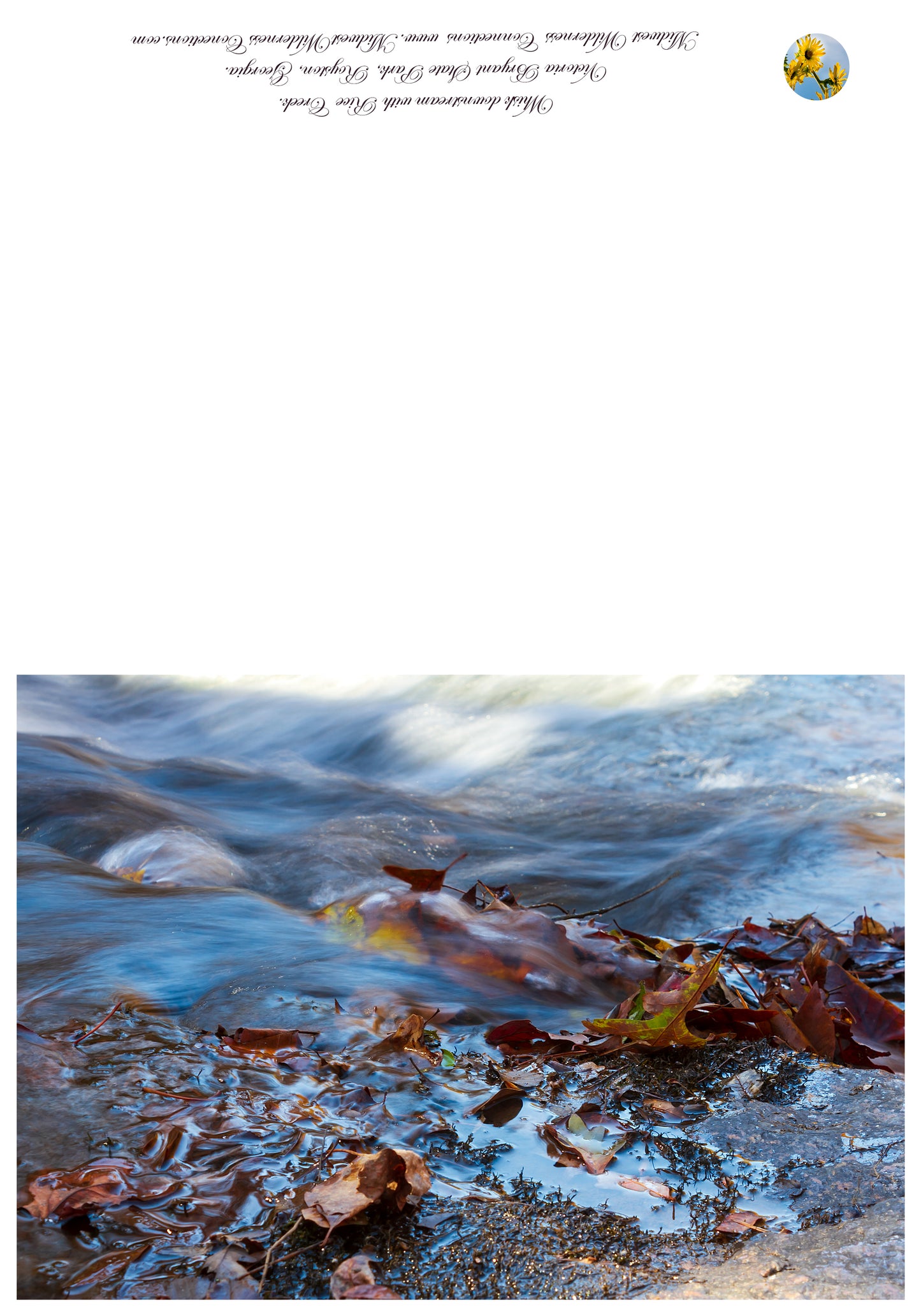 Victoria Bryant State Park Greeting Card IMG_1958