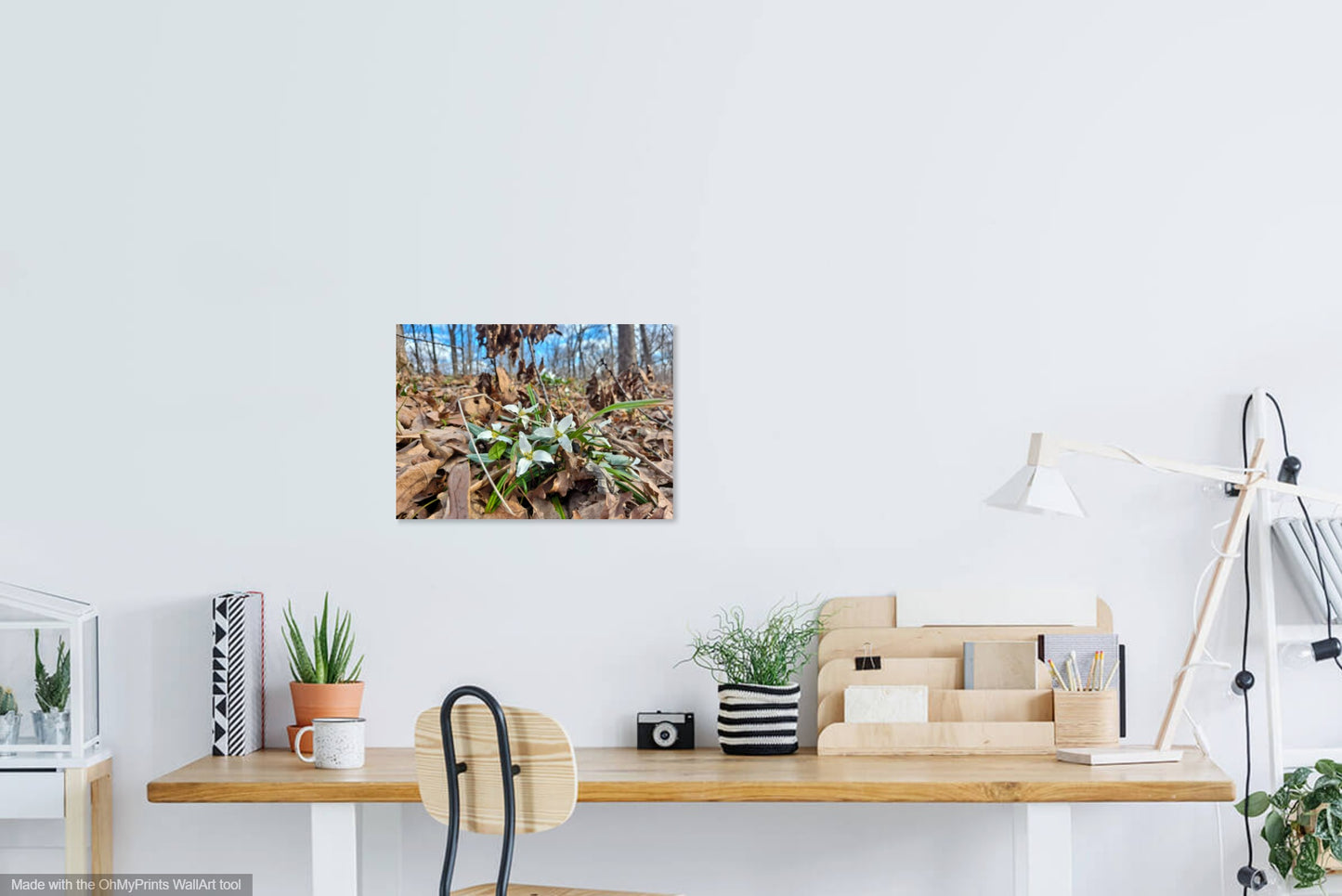 Lodge Park Photo Print 172633