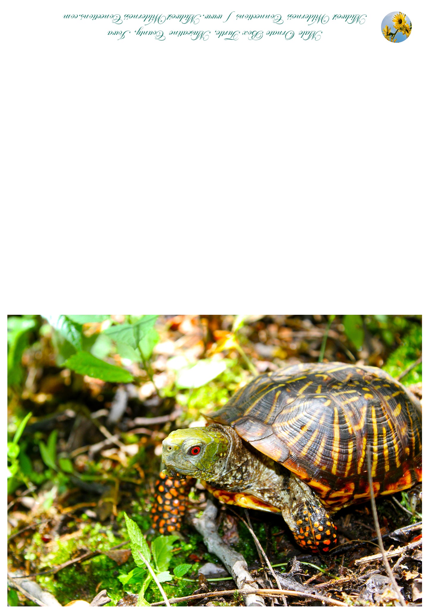 Carte de vœux du comté de Muscatine IMG_2395-2