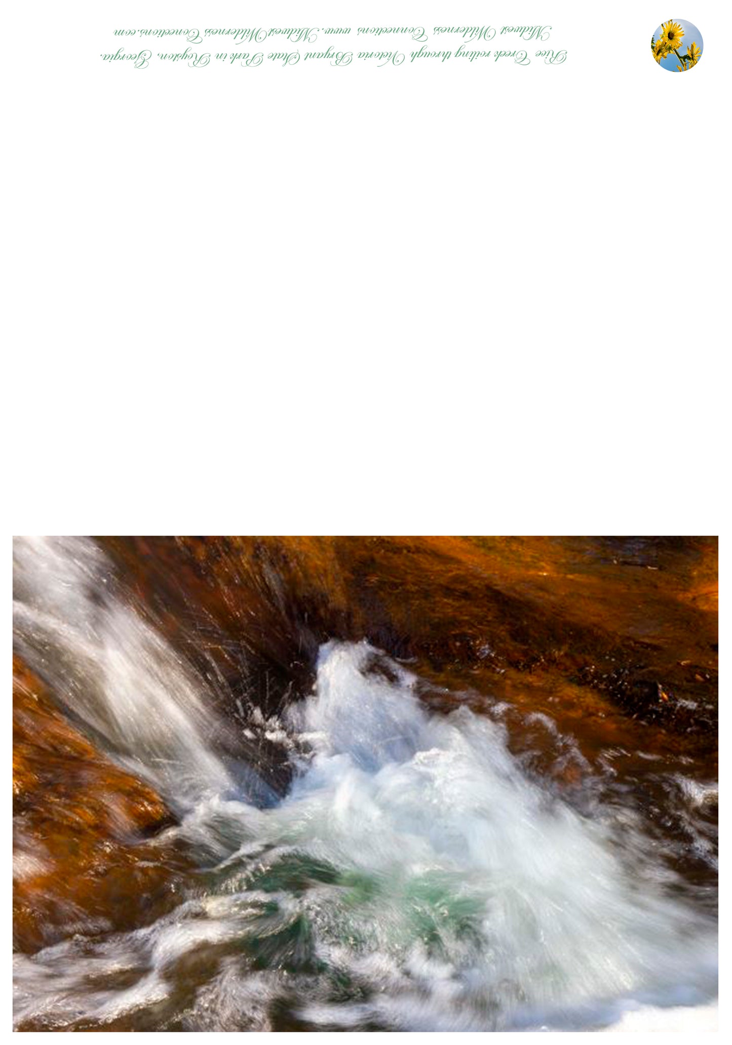 Victoria Bryant State Park Greeting Card IMG_2406