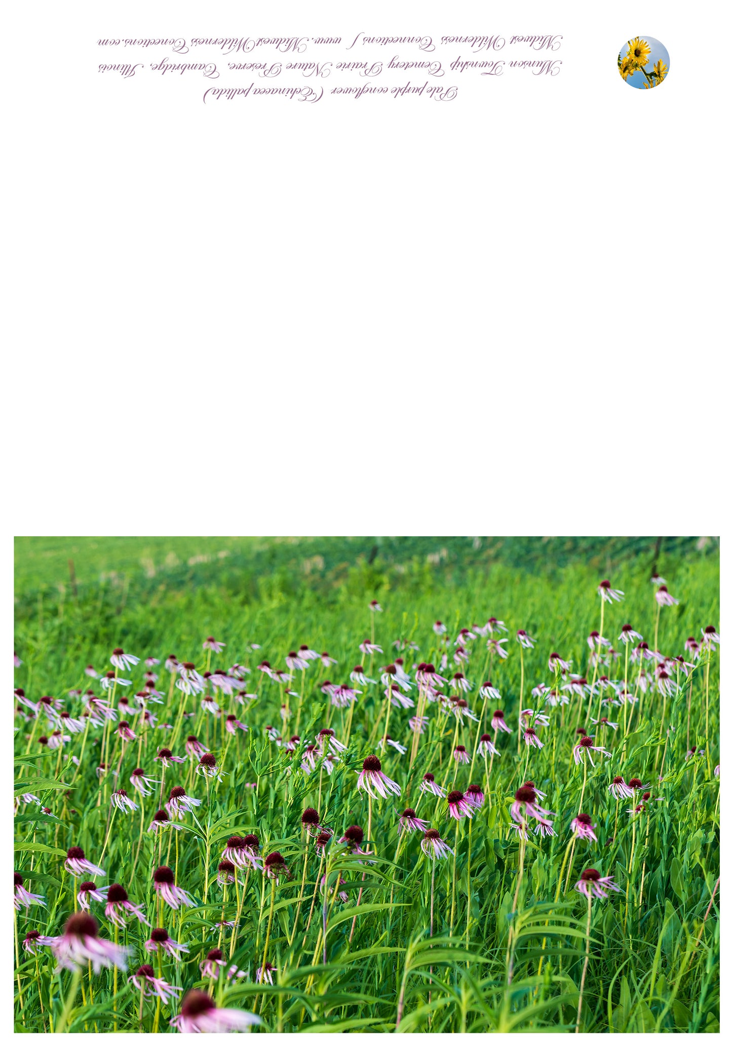 Munson Township Cemetery NP Greeting Card IMG_2516