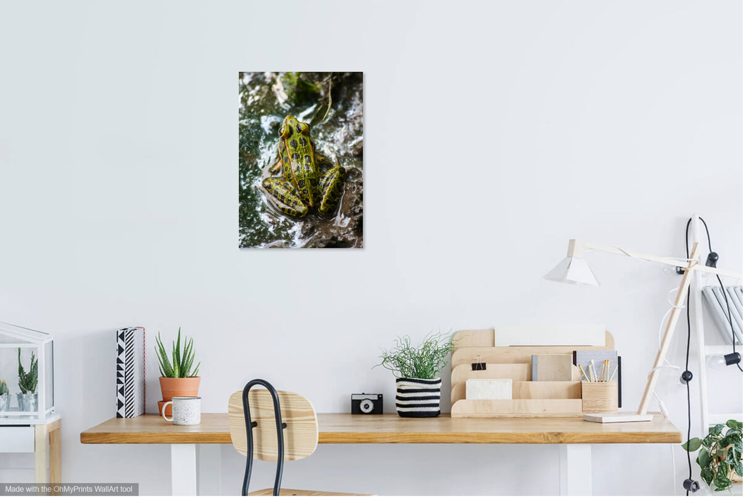 Swamp White Oak Photo Print IMG_2545