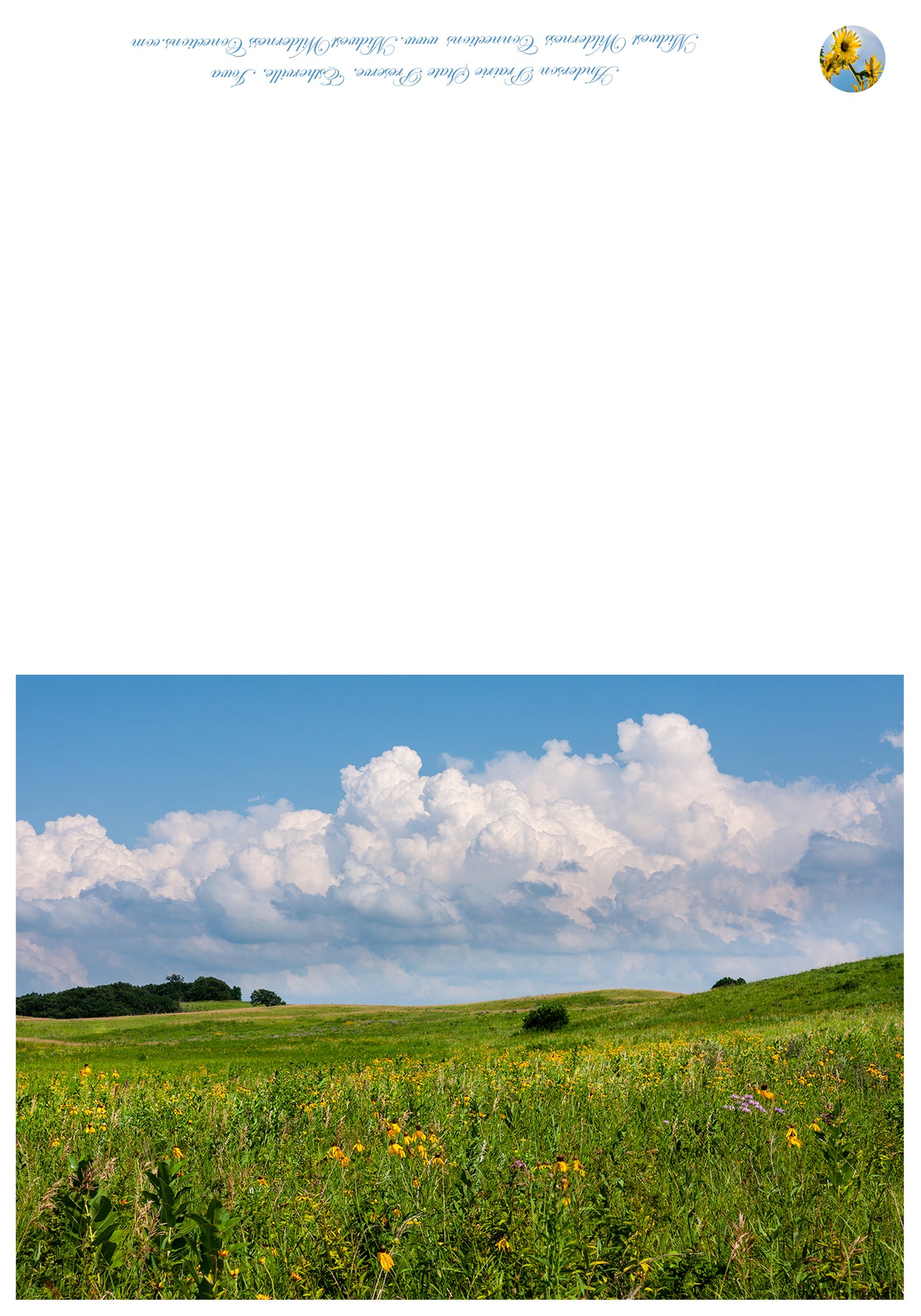 Anderson Prairie State Preserve Greeting Card IMG_2604