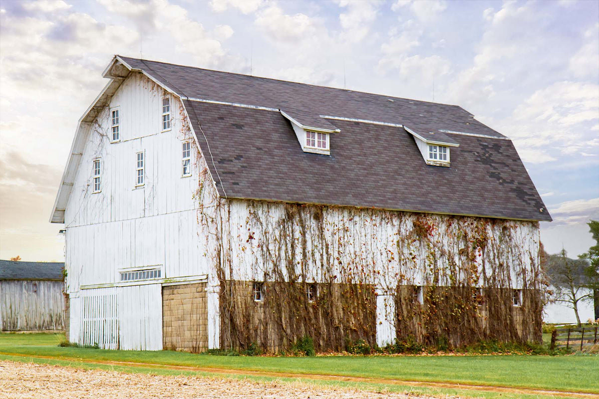 Photo of a white barn in illinois