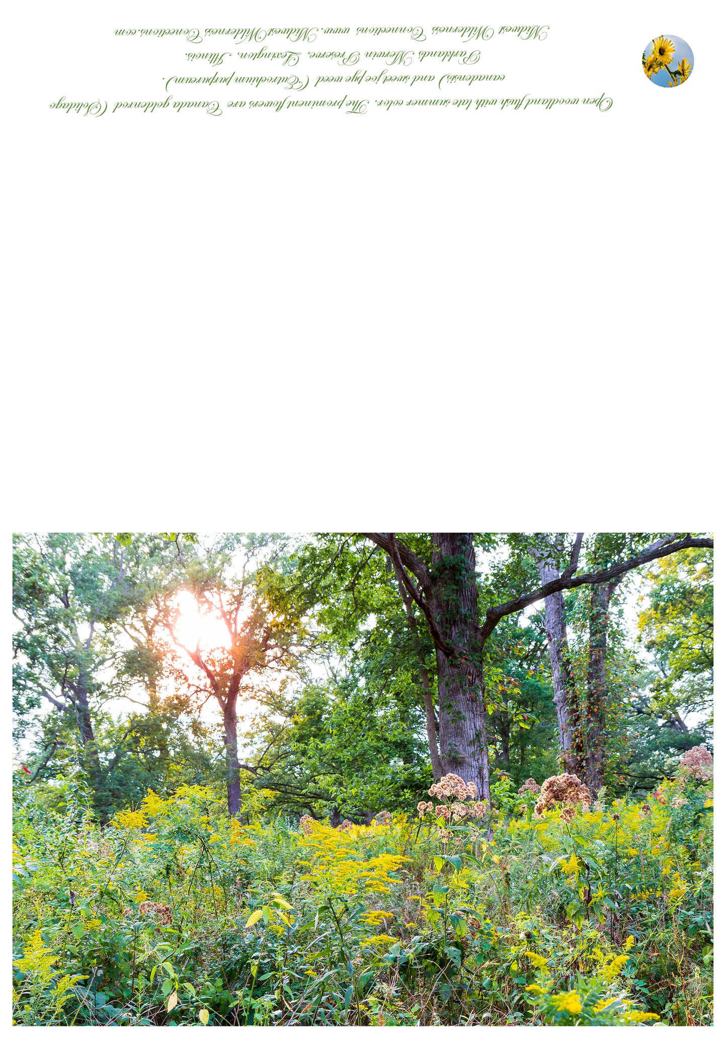 Parklands Merwin Preserve Greeting Card IMG_2885