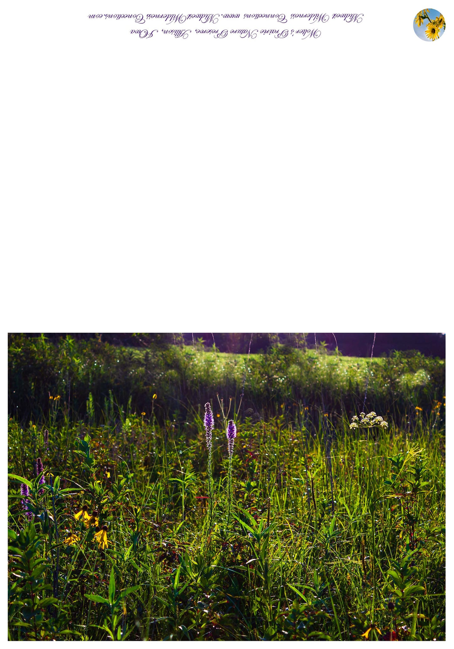 Wolters Prairie State Preserve Greeting Card IMG_2901