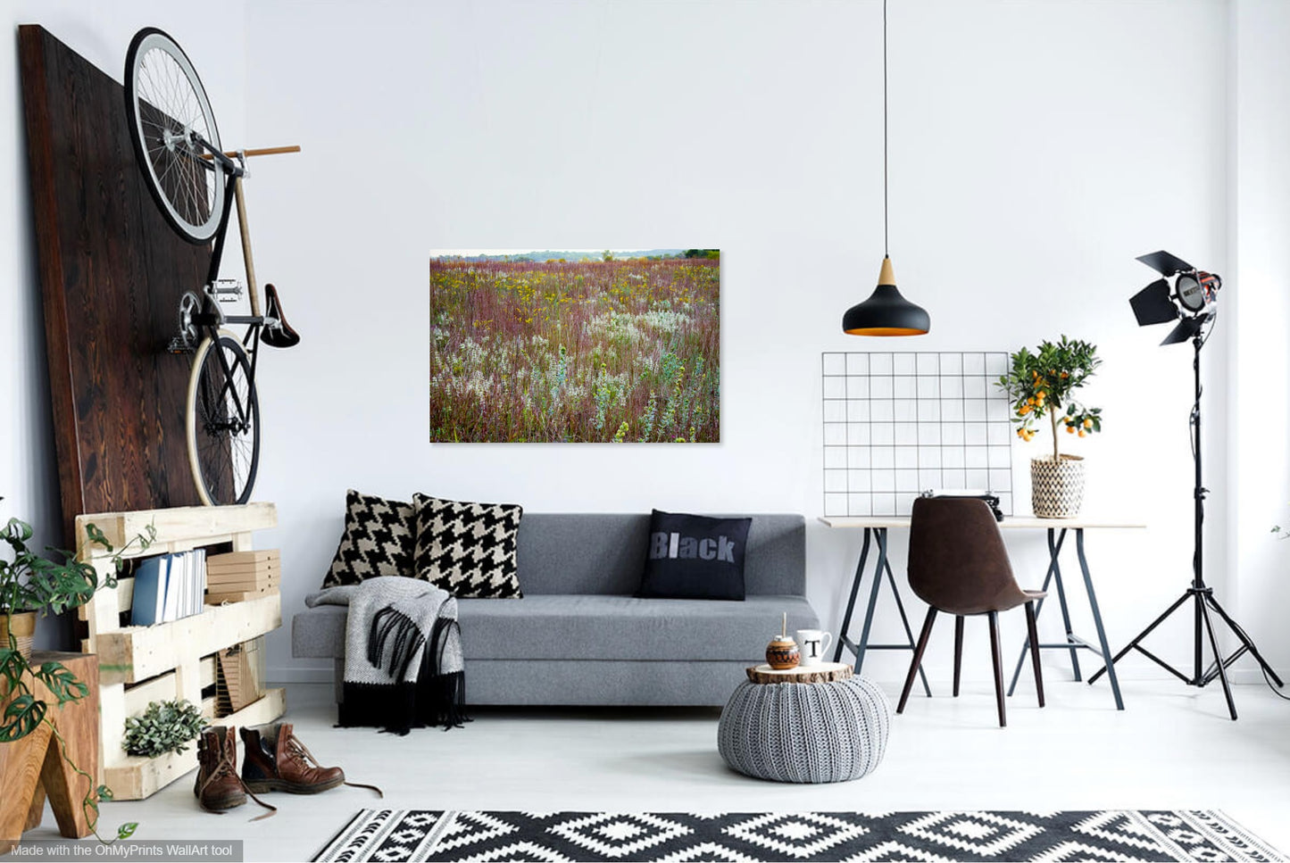 Ayers Sand Prairie State Preserve Photo Print IMG_3490