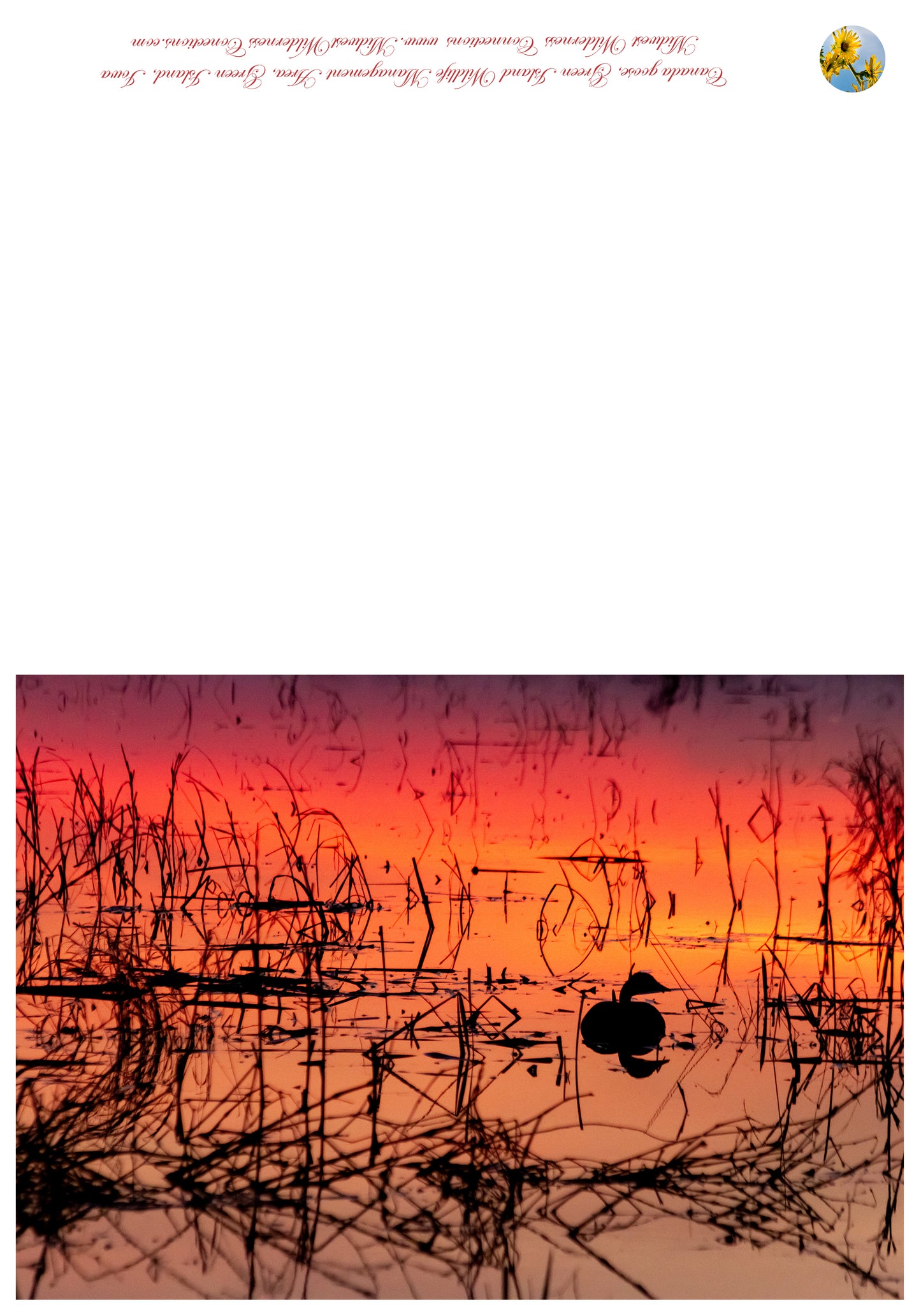 Green Island WMA Greeting Card IMG_0414