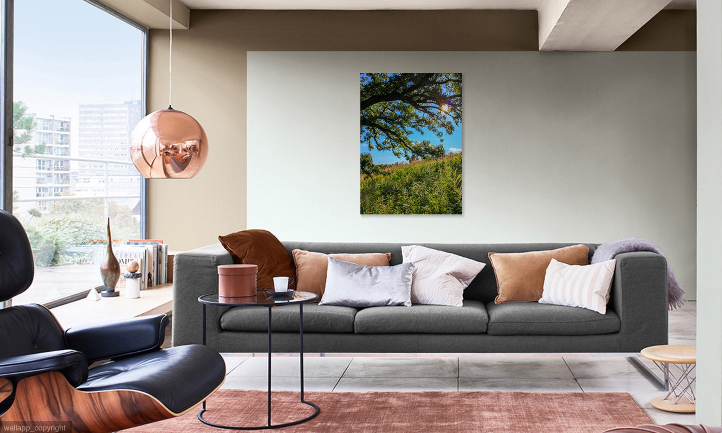 Photographie de la prairie du cimetière Fairmount IMG_4320