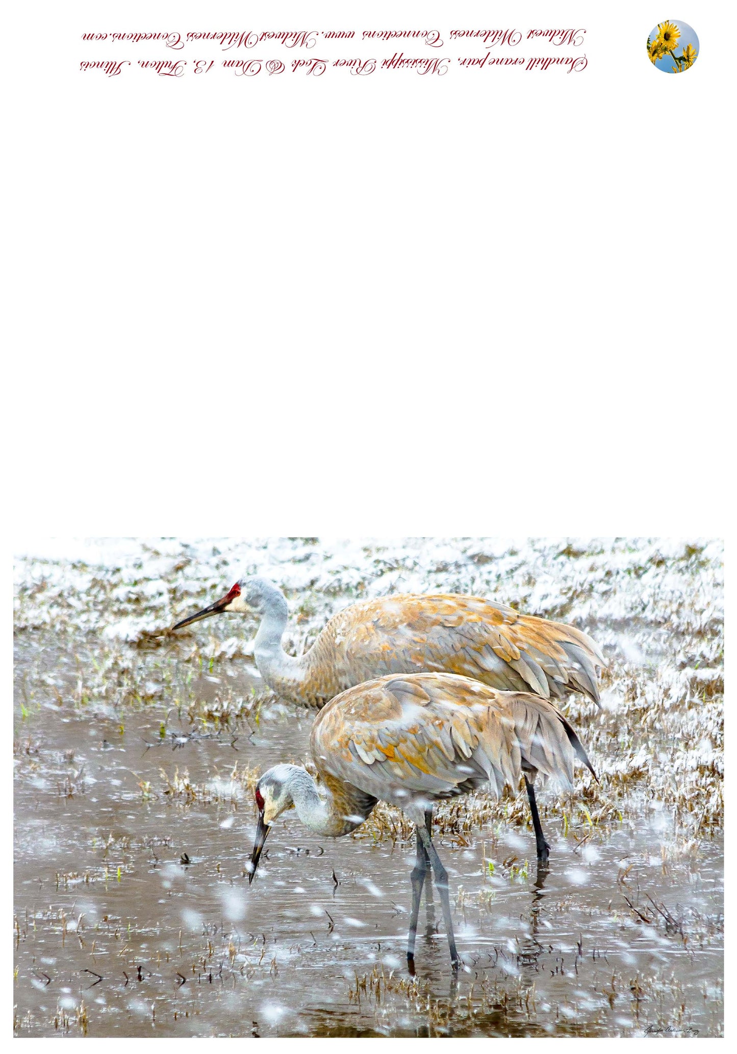 Carte de vœux de l'écluse et du barrage du fleuve Mississippi 13 IMG_5837