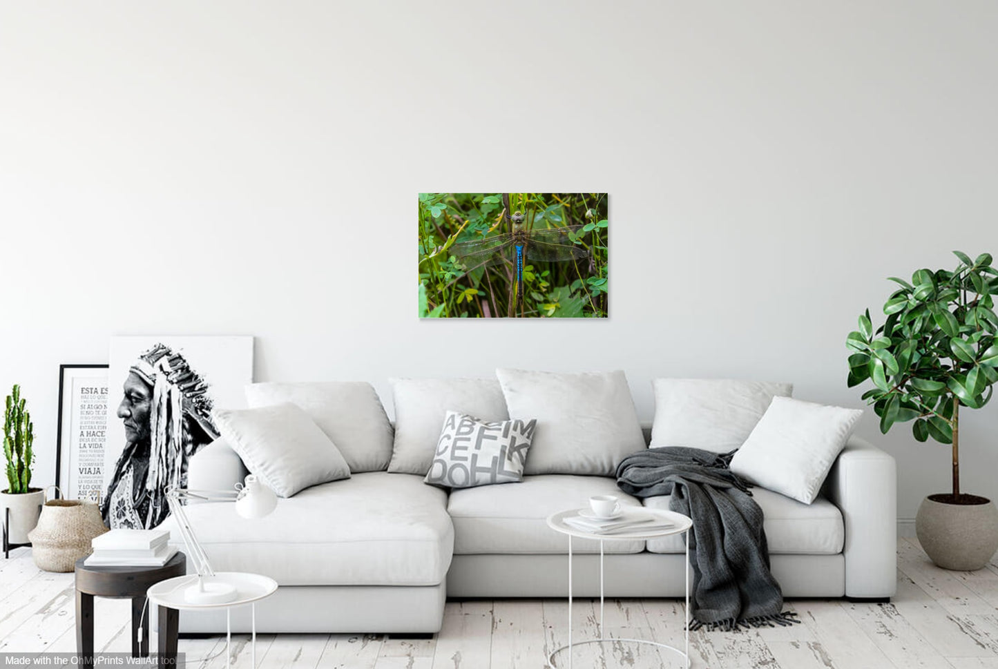 Photographie de la prairie sablonneuse de Thomson-Fulton IMG_7510