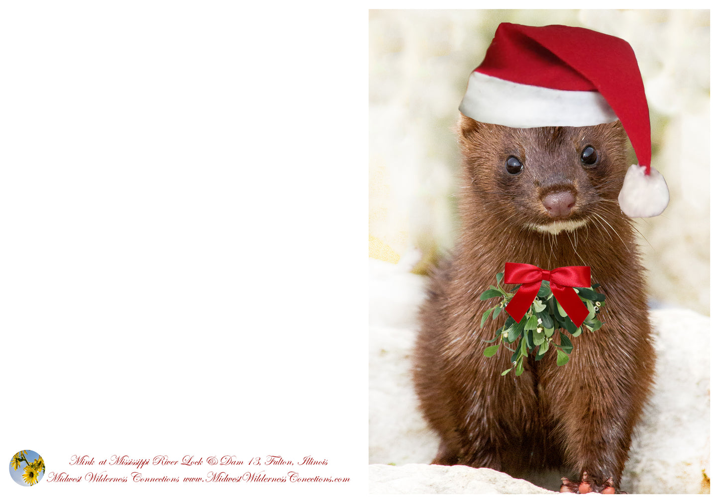 Mississippi River Lock & Dam 13 Greeting Card IMG_7559