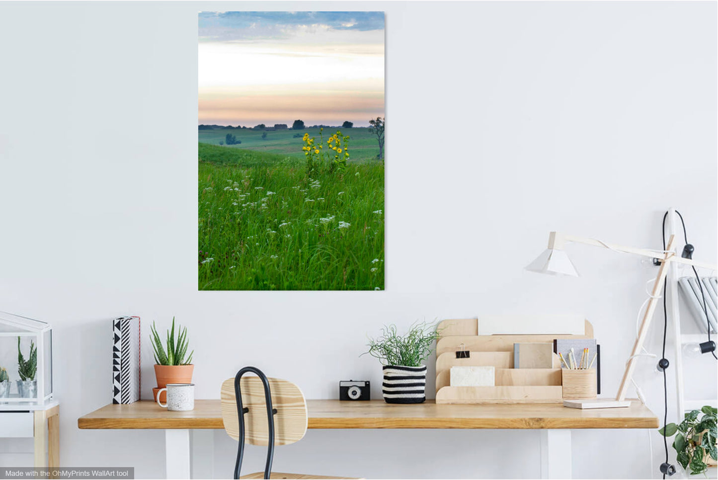 Tirage photo de la réserve naturelle nationale de Neal Smith IMG_7739