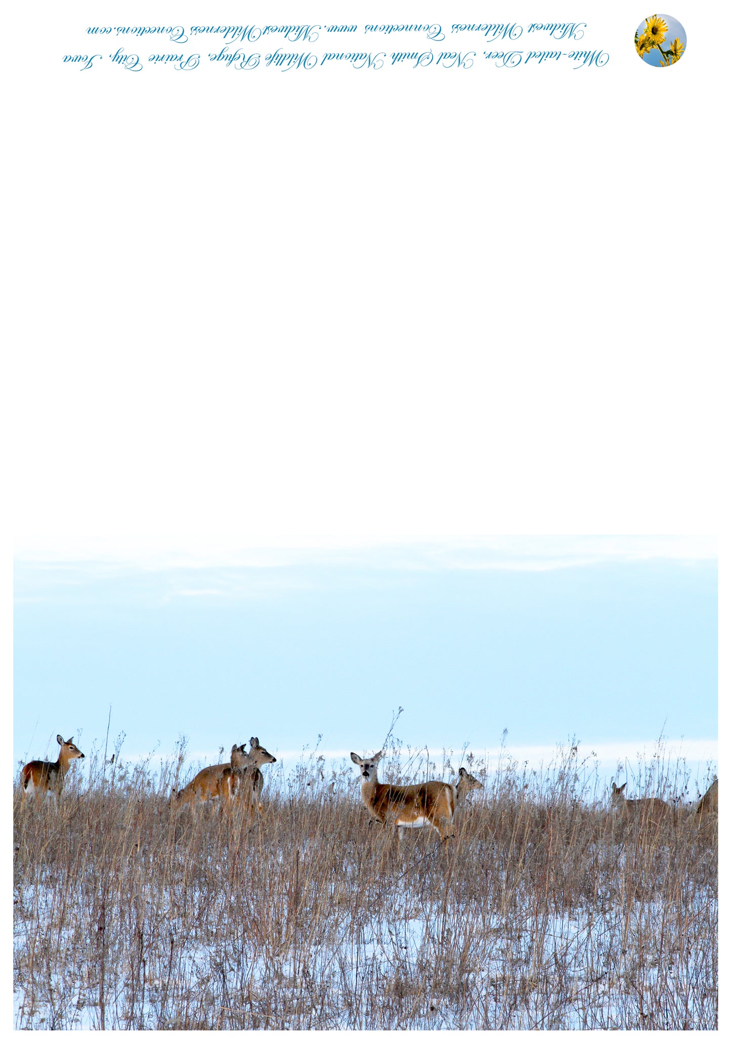 Neal Smith NWR Greeting Card IMG_5623