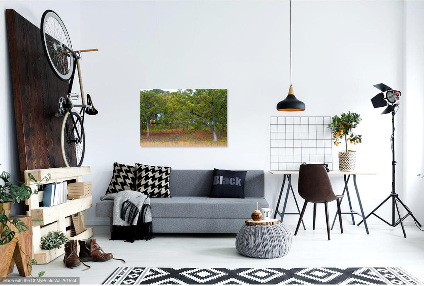 Tirage photo de la réserve naturelle nationale de Neal Smith IMG_8755