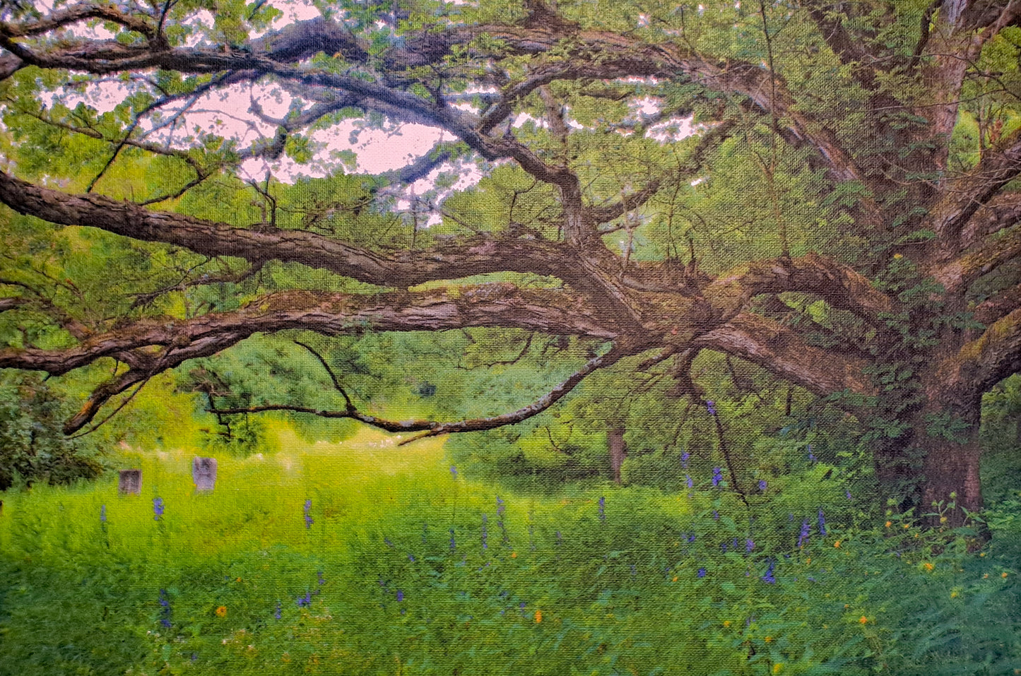 Rochester Cemetery Photo Print IMG_3086