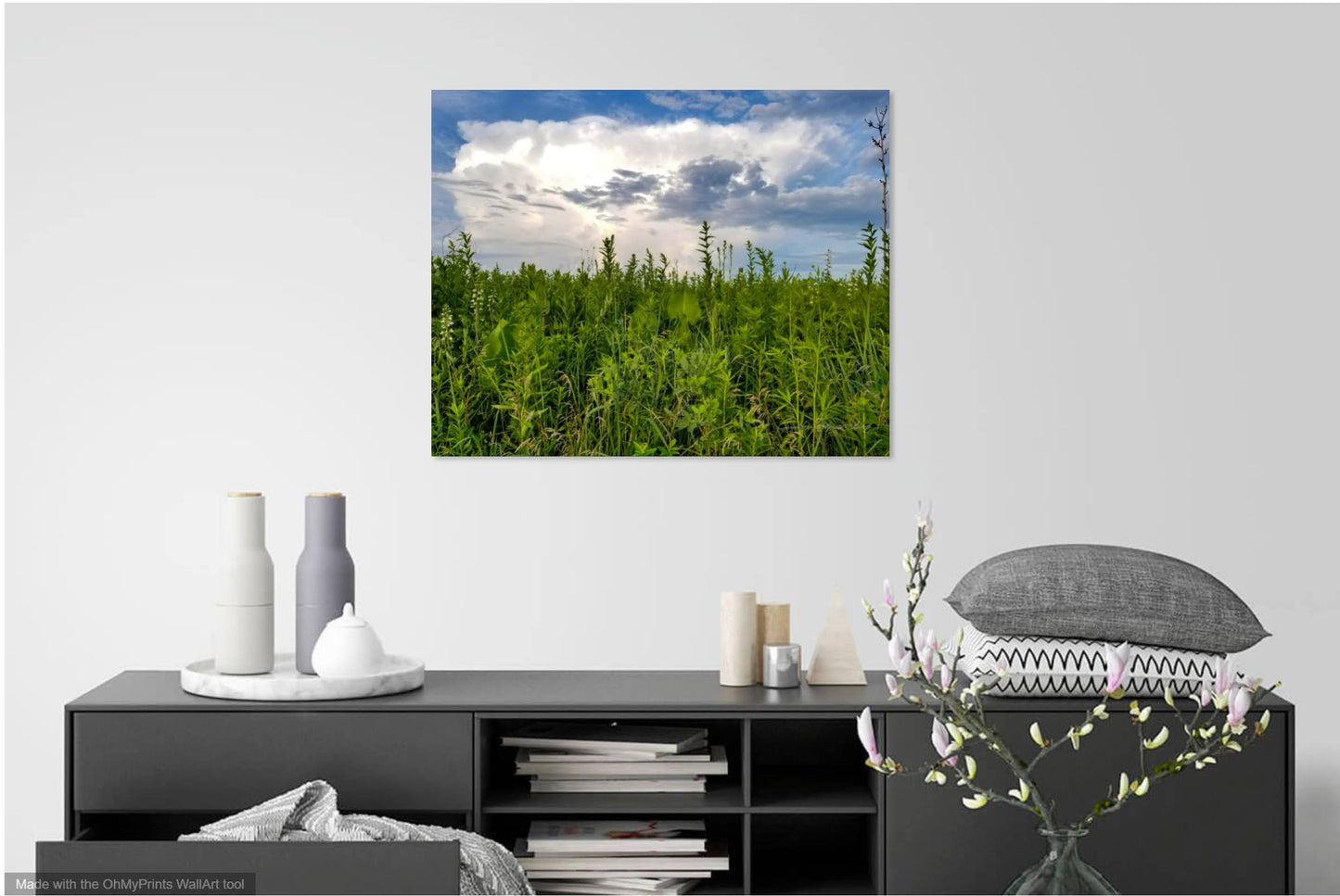 Sangamon River Forest Preserve Photo Print IMG_193106