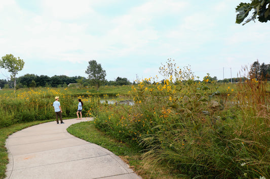 Midwest Wilderness Connections Eco-brief: Natural Areas in Urban Parks