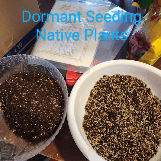 MWC Eco-Sweep: Dormant Sowing Native Plant Seed