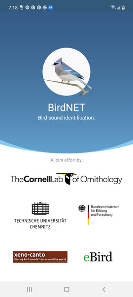 Midwest Wilderness Connections: BirdNET Smartphone App Tutorial
