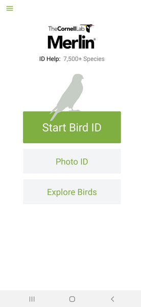 MWC Tutorial for The Cornell Lab's Merlin Bird ID Smartphone App