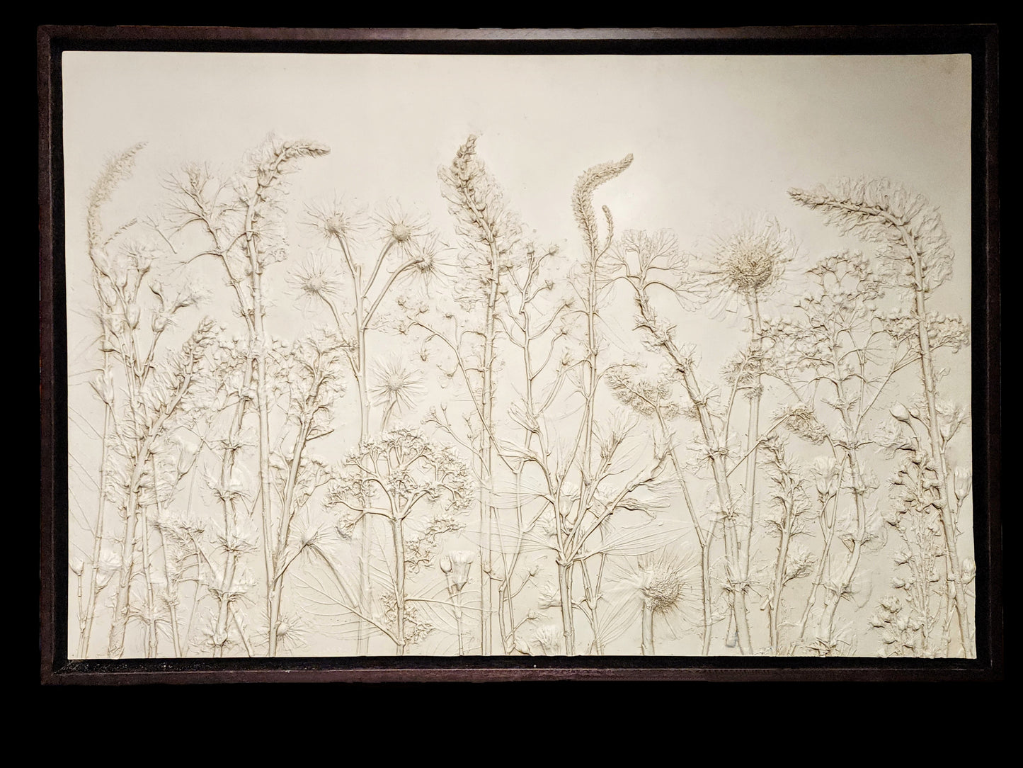 Plaster Botanical Bas Relief Artwork