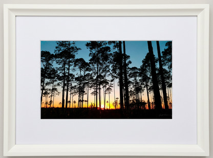 Framed artwork of a sunset over the silhouette of an Okeefenokee Pine Swamp in Georgia 