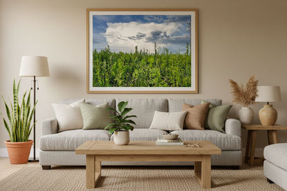 Living room with a gray sofa, wooden coffee table, and framed picture of a green prairie landscape and blue sky with storm clouds in the distance.