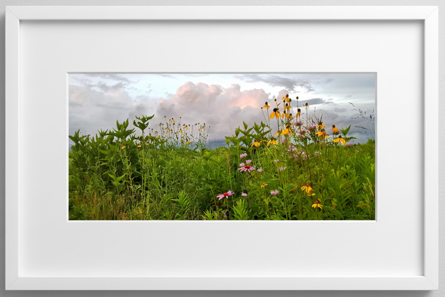 Framed photograph of a prairie field with wildflowers and greenery under a storm cloud sky.