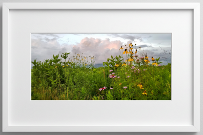 Framed photograph of a prairie field with wildflowers and greenery under a storm cloud sky.