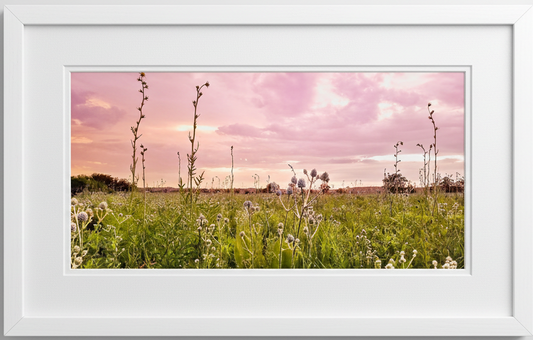 Framed photograph of a rain drenched midwest prairie under a pink storm cloud sky.