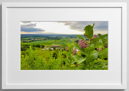 Framed photograph of a scenic Midwest Iowa landscape with green fields and milkweed flowers.