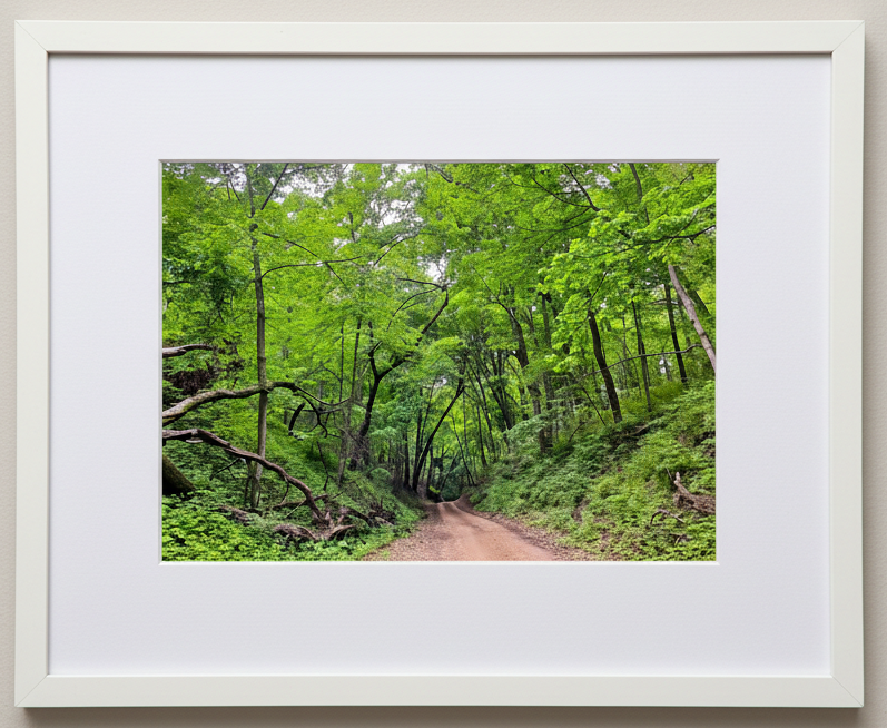 Framed photograph of a forest road with green trees and undergrowth in northeast iowa