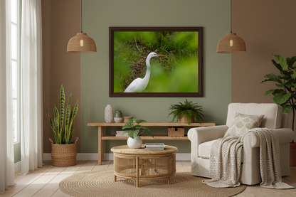 Living room with a framed photo print of a white egret bird on a green background, a beige armchair, and decorative plants.