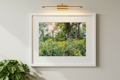 Parklands Merwin Preserve Photo Print IMG_2885