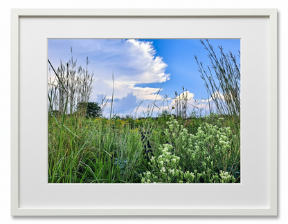Framed photograph of a midwest prairie with a blue sky and clouds. Illinois USA