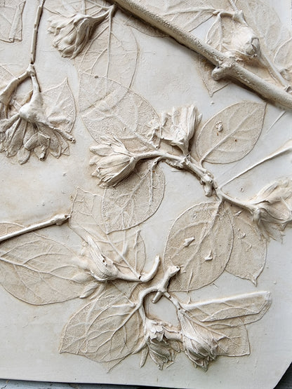 Plaster Botanical Bas Relief Artwork