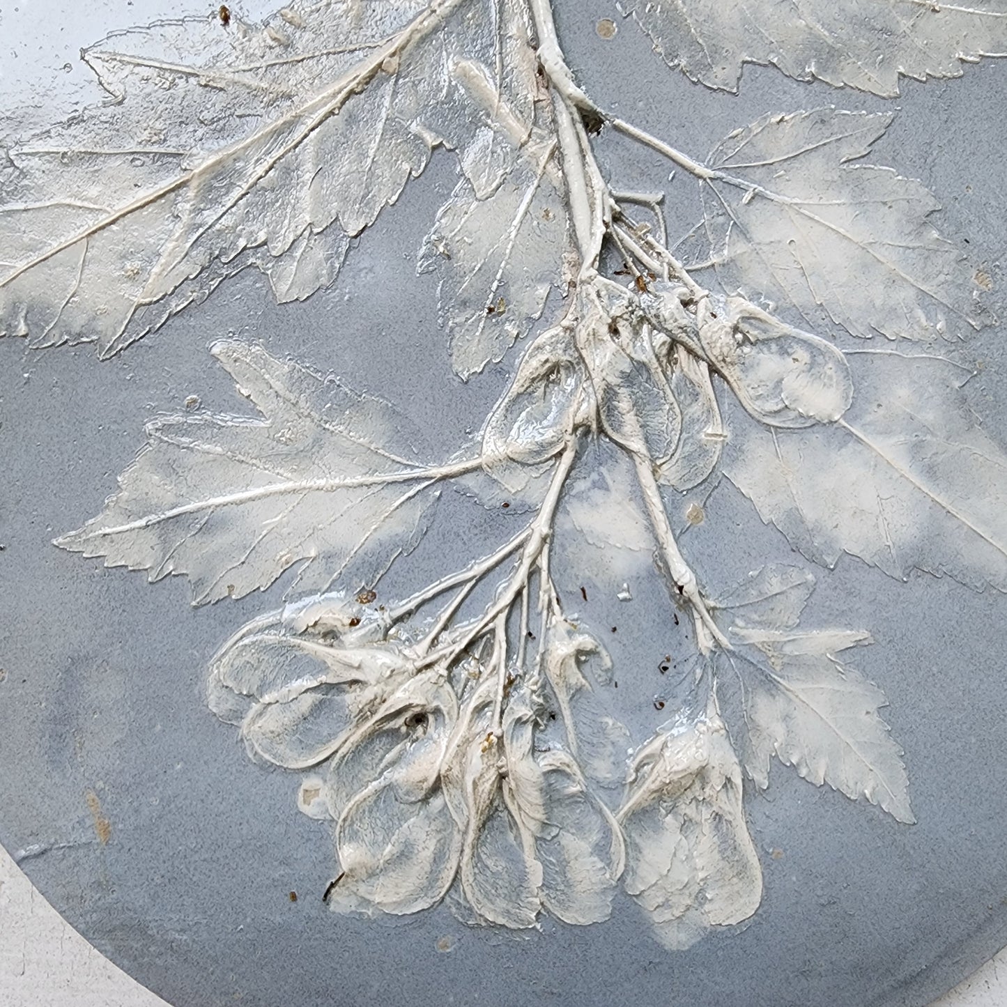 Plaster Botanical Bas Relief Artwork