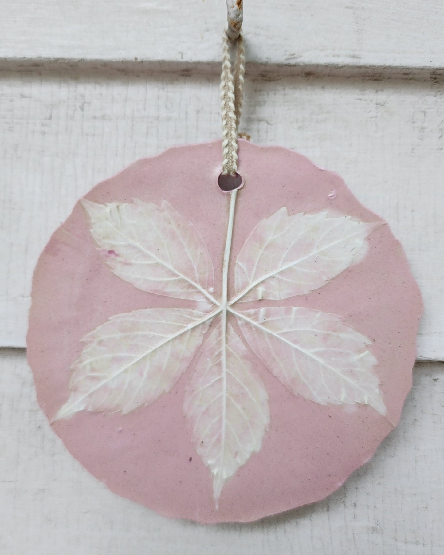 Plaster Botanical Bas Relief Artwork