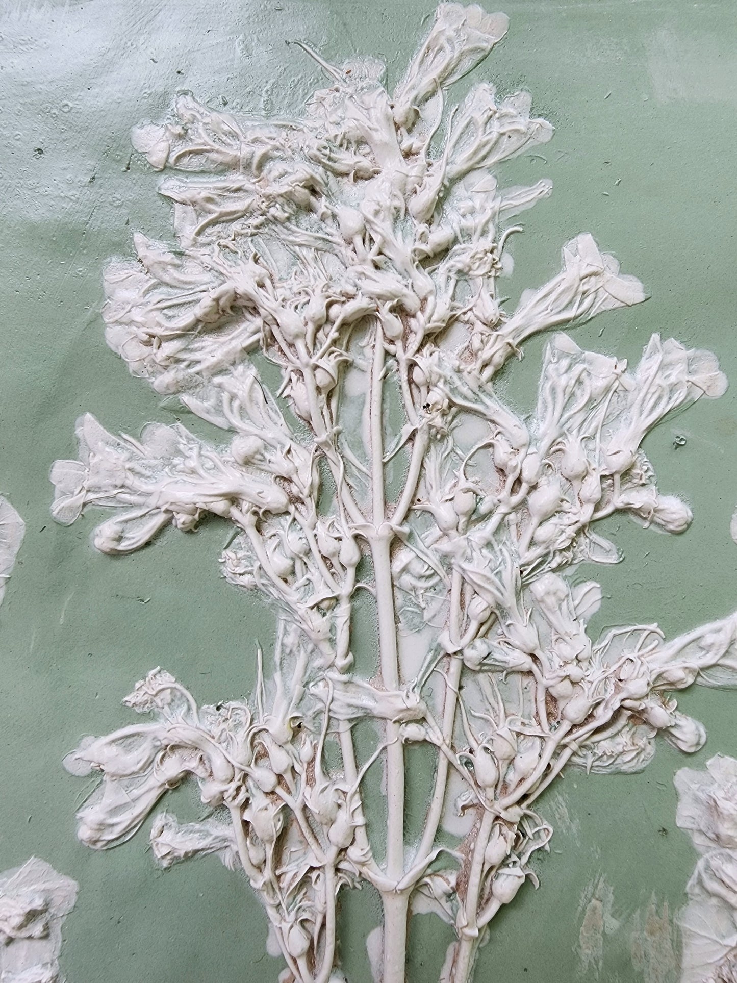 Plaster Botanical Bas Relief Artwork