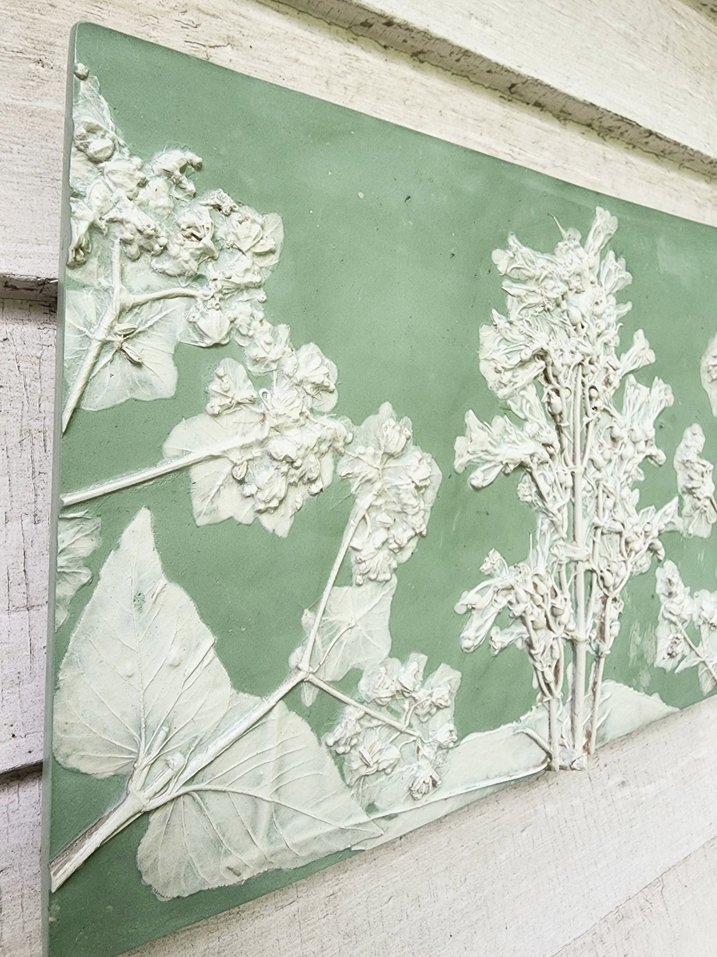 Bas-relief botanique en plâtre