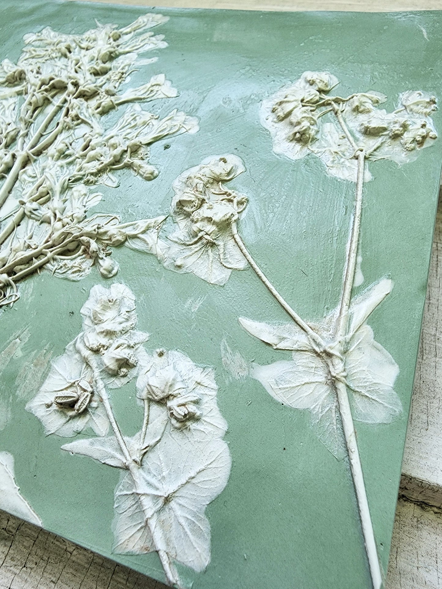 Plaster Botanical Bas Relief Artwork