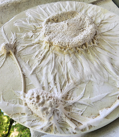 Plaster Botanical Bas Relief Artwork