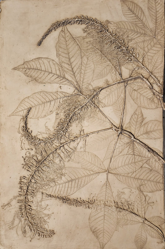 Plaster Botanical Bas Relief Artwork