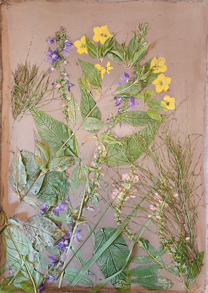 Plaster Botanical Bas Relief Artwork