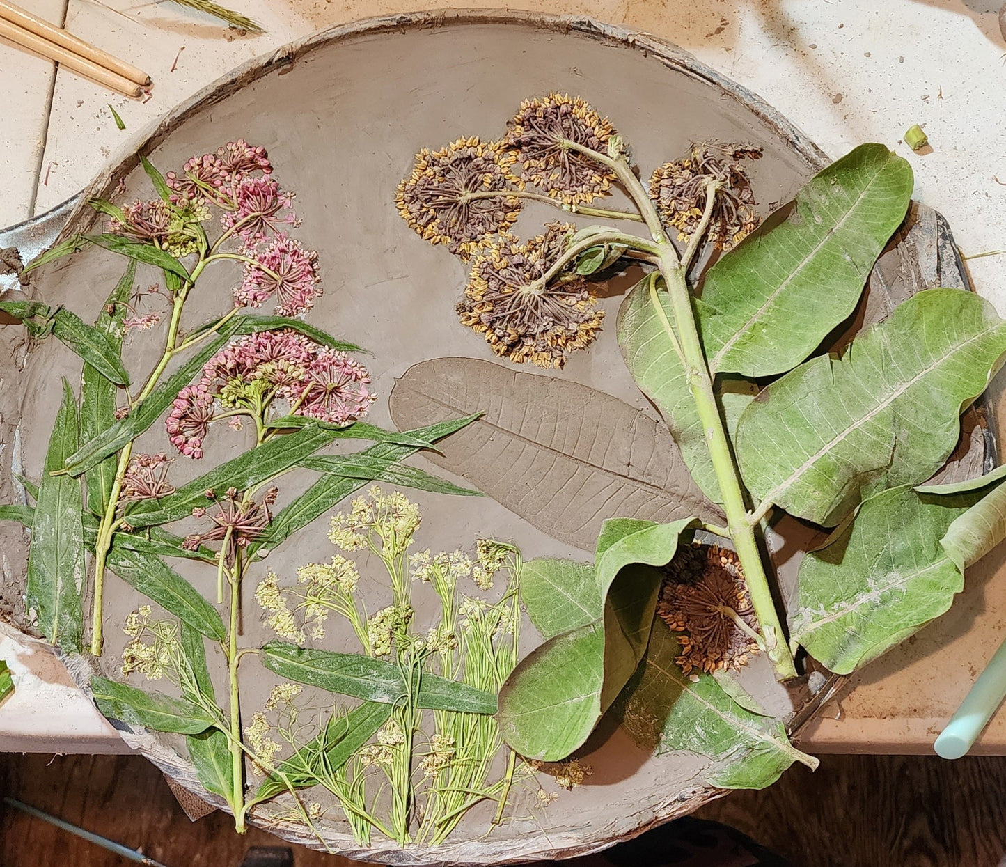 Plaster Botanical Bas Relief Artwork