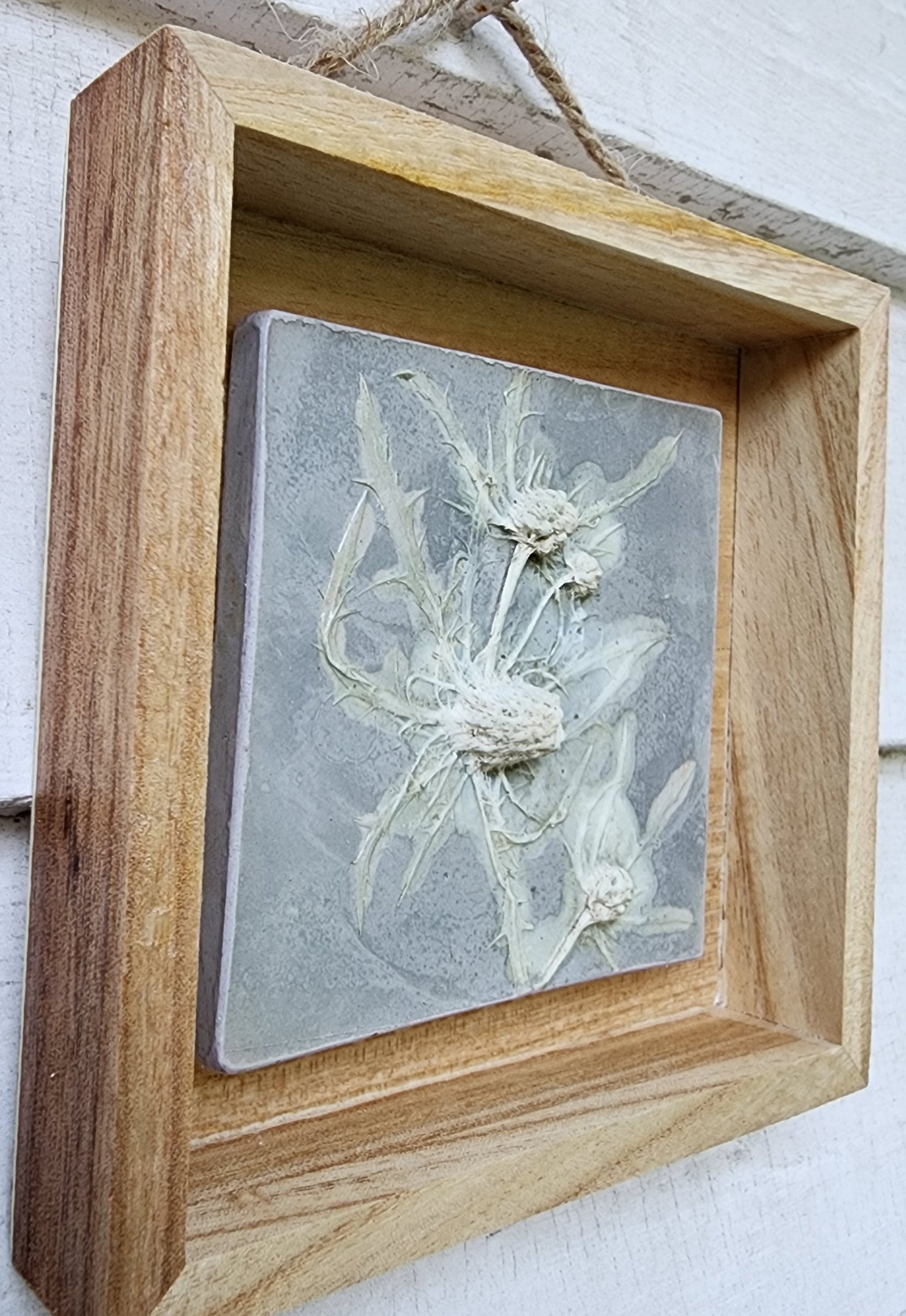 Plaster Botanical Bas Relief Artwork
