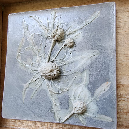 Plaster Botanical Bas Relief Artwork