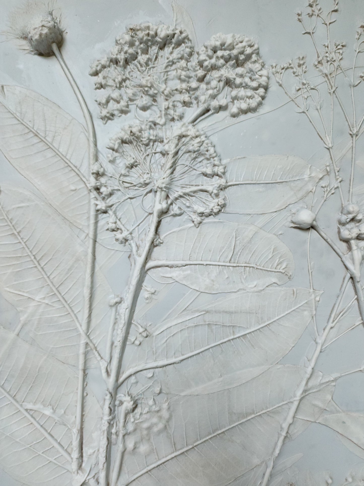 Plaster Botanical Bas Relief Artwork